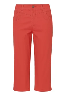 AMAS.SP25 CORAL AMAS.SP25