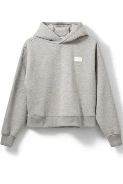BASIKSW HOODIE 8010 Grey melange SNOS702