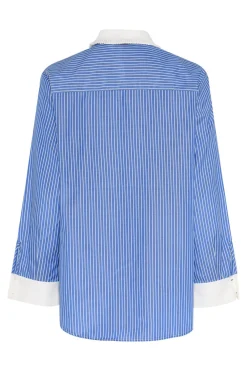 BorassusBBZiana shirt Dark Blue Stripe BBW4872