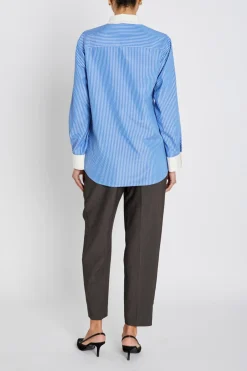 BorassusBBZiana shirt Dark Blue Stripe BBW4872
