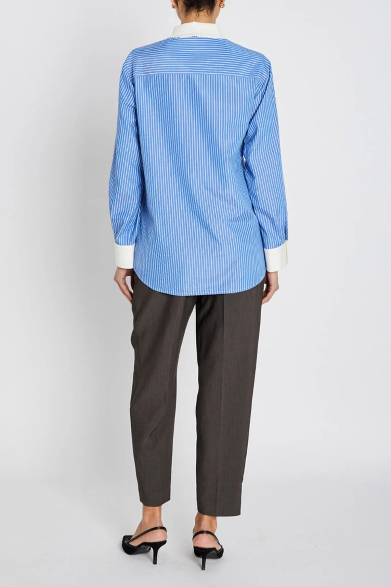 BorassusBBZiana shirt Dark Blue Stripe BBW4872