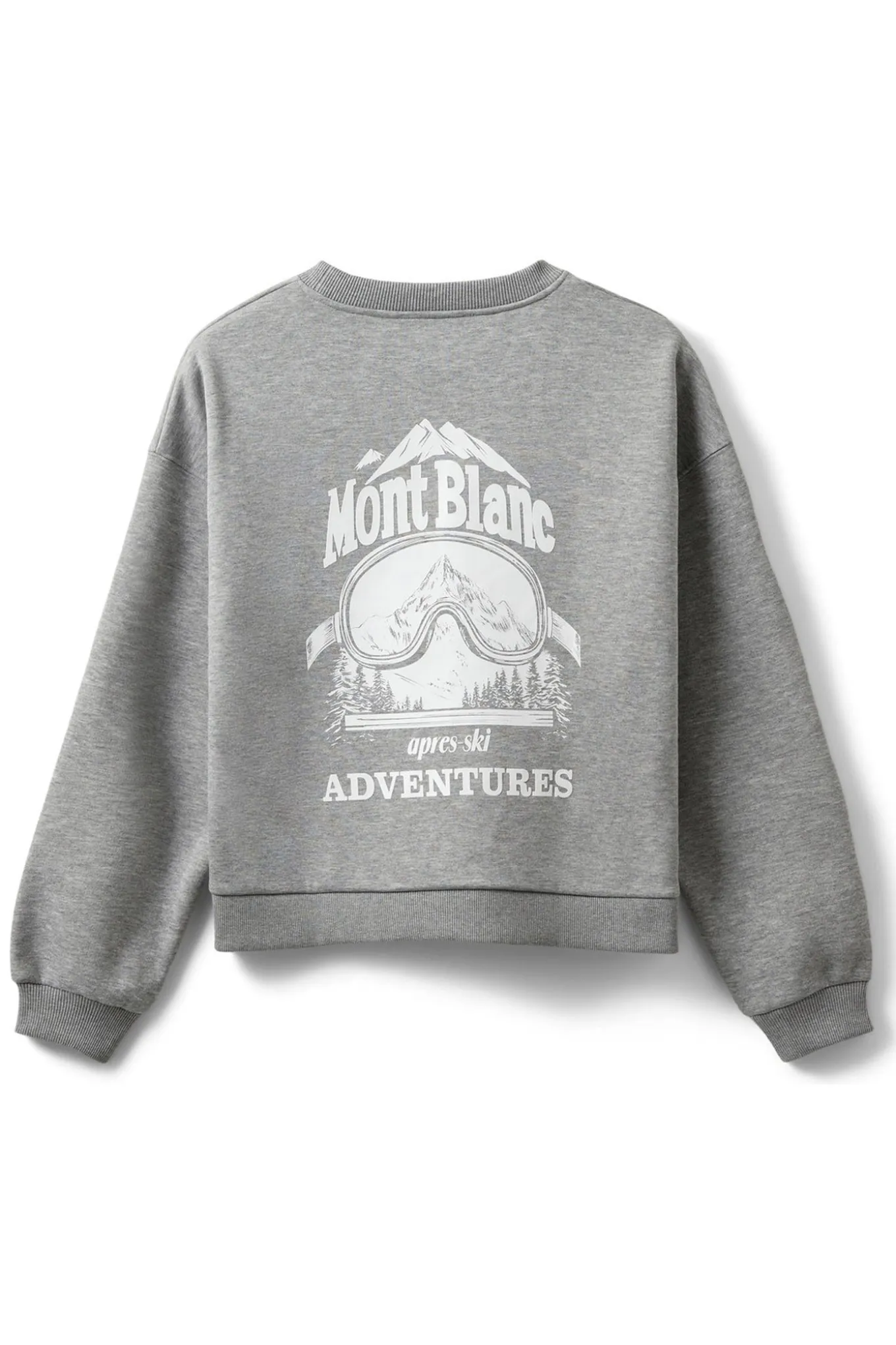 ELINSW SWEATSHIRT 8010 Grey melange S254440